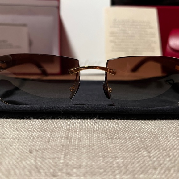 Cartier Brown Gradient Sunglasses with Metal Arms